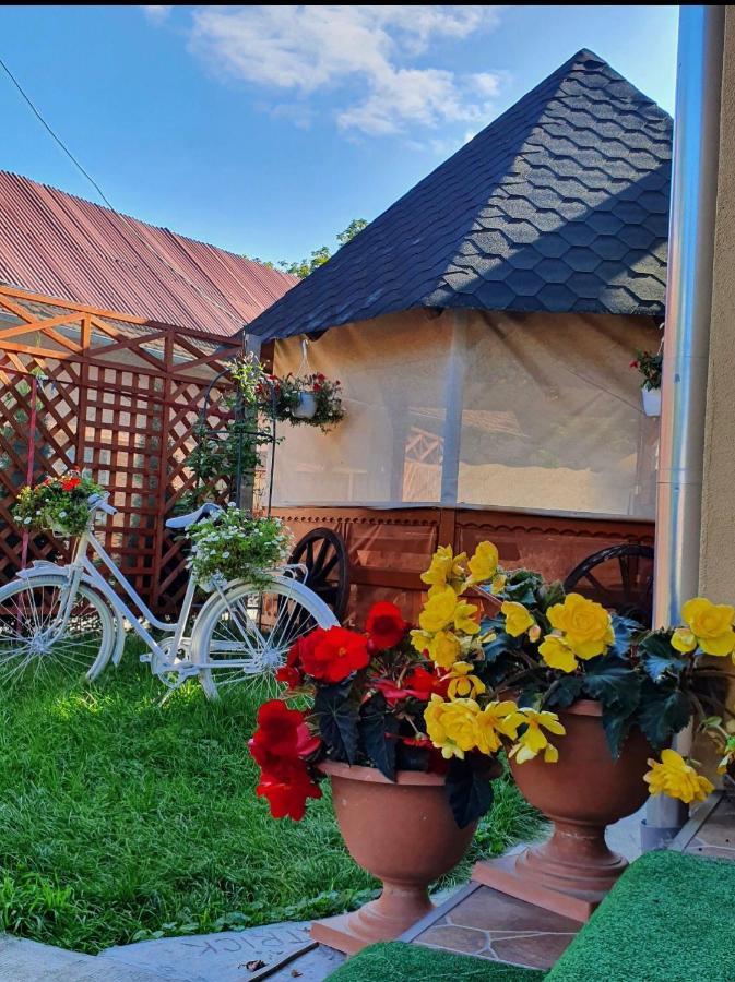Готель Casa Ardeleana Ucea Ucea de Sus Екстер'єр фото