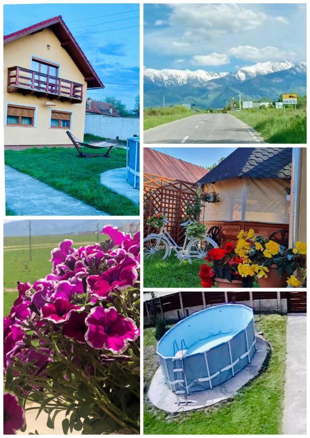 Готель Casa Ardeleana Ucea Ucea de Sus Екстер'єр фото